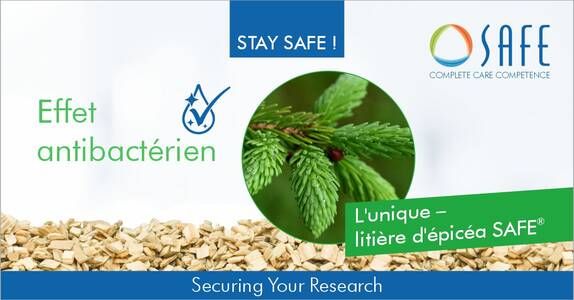 Effet antibactérien