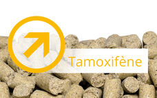 ALIMENT TAMOXIFÈNE