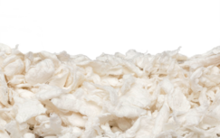 SAFE® comfort white